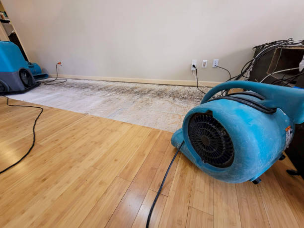 Professional Structural Drying technician working in Smyrna, SC